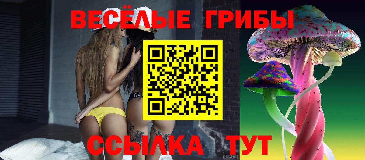 Псилоцибиновые грибы мицелий Новоуральск