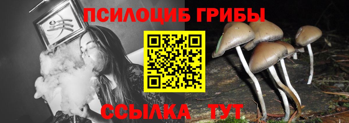 Новоуральск  Галлюциногенные грибы прущие грибы  Псилоцибиновые грибы мухоморы  Вход с VPN 